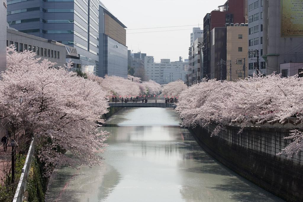 Nesthotel Alt Meguro Ekimae Tokyo Esterno foto
